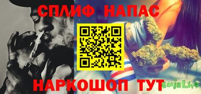 apvp Ярославль
