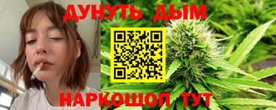 apvp Ярославль