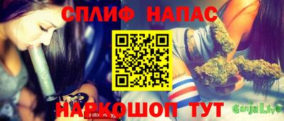 apvp Ярославль