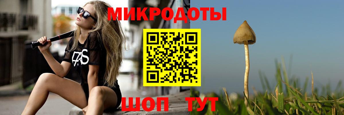 Вышний Волочёк  Псилоцибиновые грибы Psilocybe  Псилоцибиновые грибы MAGIC MUSHROOMS  Вход с VPN 